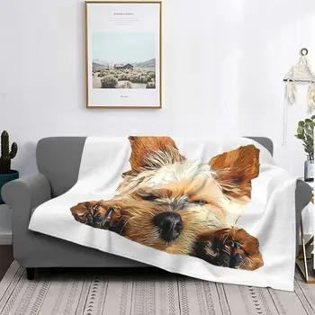Slatka štene terijera, doggy style šape, Йоркширское мультяшное deka, baršunasto proljeće-осеннее tanki prekrivač za ured, prekrivač